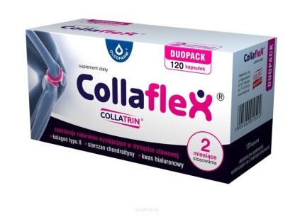 UKŁAD MIĘŚNIOWO SZKIELETOWY